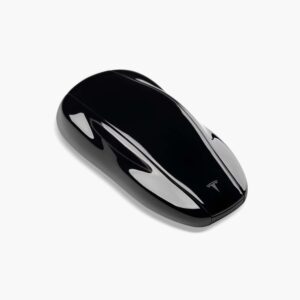 Model S Key Fob